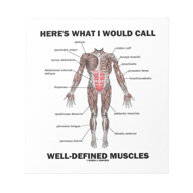 Bloc-note Voici ce que j'appellerais des muscles bien défini (Devant)