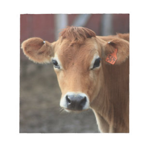 Bloc-note Vous ne me pensez pas suis jolie vache du Jersey