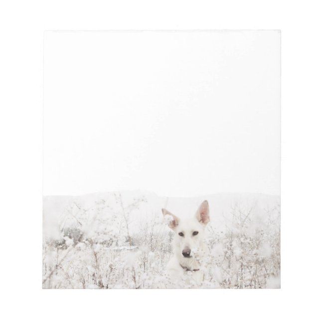 Bloc-note White German Shepherd in the Snow (Devant)