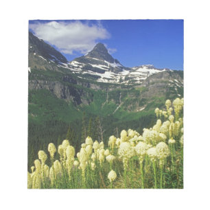 Bloc-note Xerophyllum à Logan Pass dans le parc national de