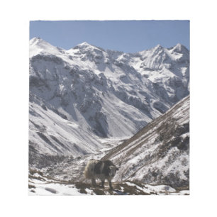 Bloc-note Yak près du mont Jhomolari, Jangothang Jigme Dorj