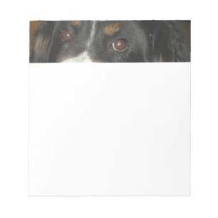 Bloc-note Yeux de Chien de Montagne Bernois