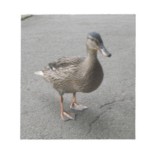 Bloc-notes amusant pour canard