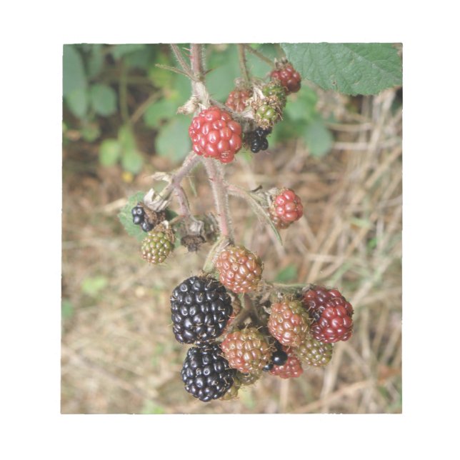 Bloc-notes Blackberry Bonanza (Devant)