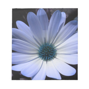 Bloc-notes bleu marguerite