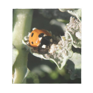 Bloc-notes britannique à 7 emplacements Ladybug