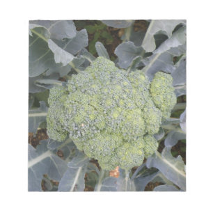 Bloc-notes Broccoli
