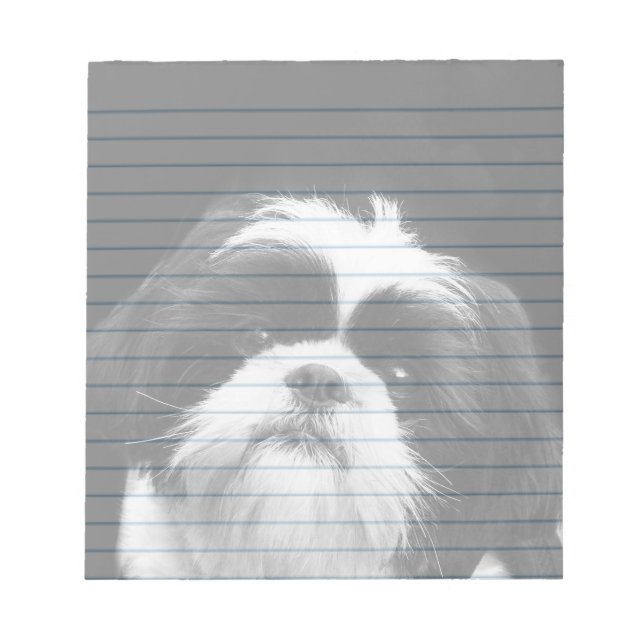 Bloc-notes Chien Chien Shih Tzu (Devant)