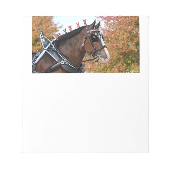Bloc-notes Clydesdale Horse (Devant)