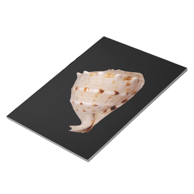 Bloc-notes Conch Shell (Incliné)