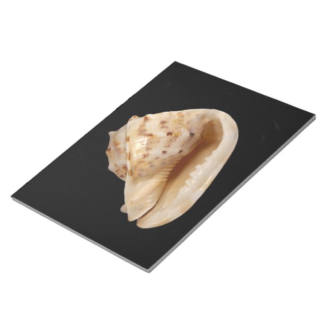 Bloc-notes Conch Shell (Incliné)