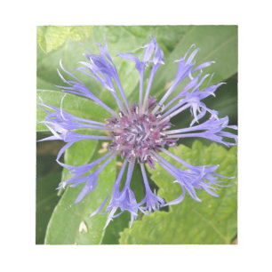 Bloc-notes de Cornflower bleu