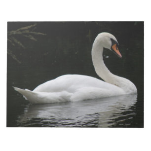 Bloc-notes de cygne blanc gracieux
