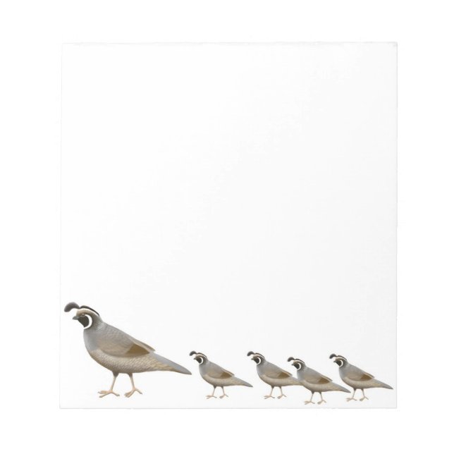 Bloc-notes de la famille Quail en Californie (Devant)