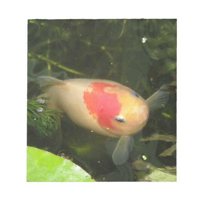 Bloc-notes de poisson rouge (Devant)