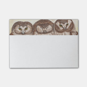 Bloc-notes de post-it de hibou