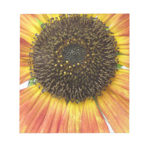Bloc-notes de tournesol orange