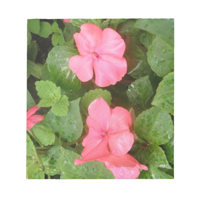 Bloc-notes en forme de fleurs d'Patiens roses (Devant)