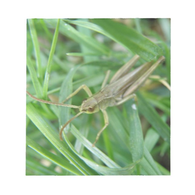 Bloc-notes Grasshopper (Devant)