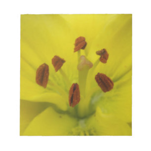 Bloc-notes jaune Lily Floral