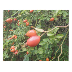 Bloc-notes Juicy Red Rose Hips