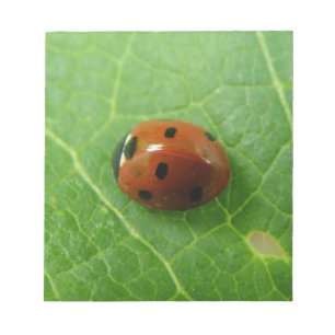 Bloc-notes Ladybug