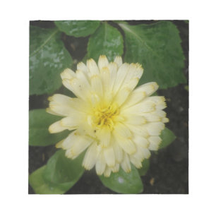 Bloc-notes Little Yellow Marigold