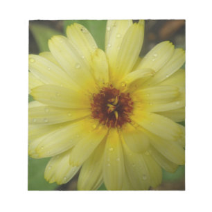Bloc-notes Marigold