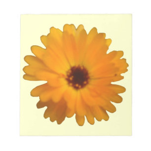 Bloc-notes orange Marigold