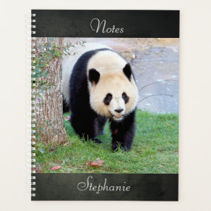 Bloc-notes Panda géant photo, animaux 05. carnet