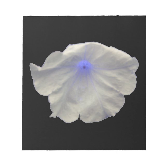 Bloc-notes Petunia Blue Glow (Devant)