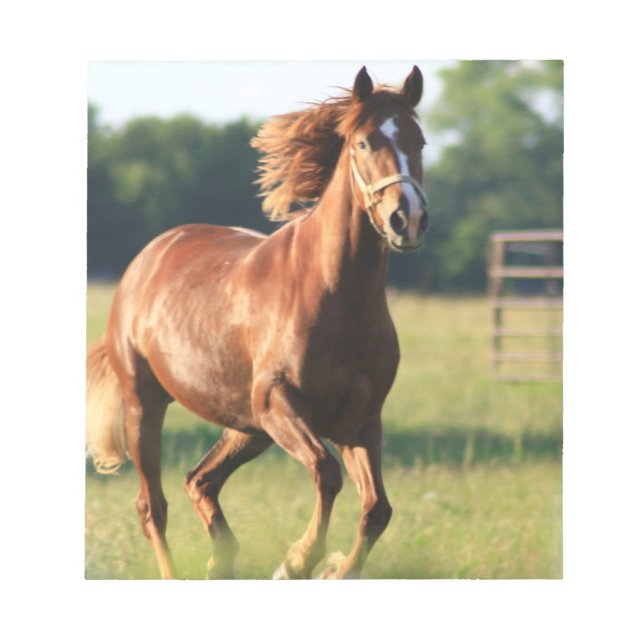 Bloc-notes pour Chevaux à mâchoires de châtaignes (Devant)