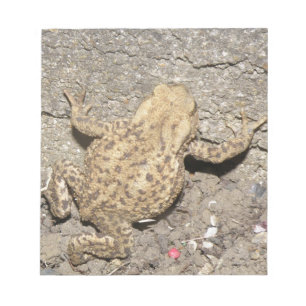 Bloc-notes pour crapaud à rampe mignon