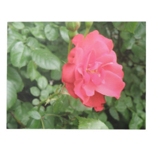 Bloc-notes Rose sauvage