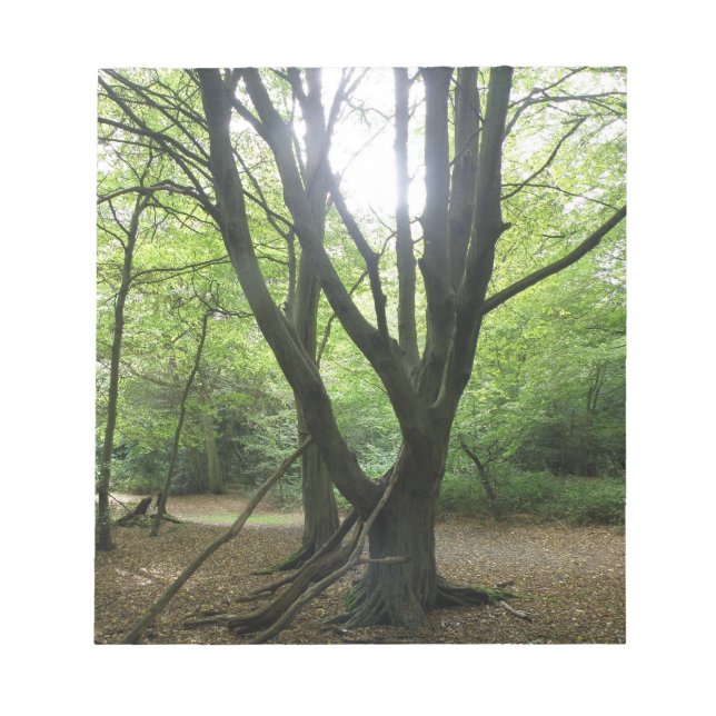 Bloc-notes Sunshine Woodland (Devant)