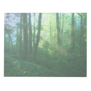 Bloc-notes sur la fertilité