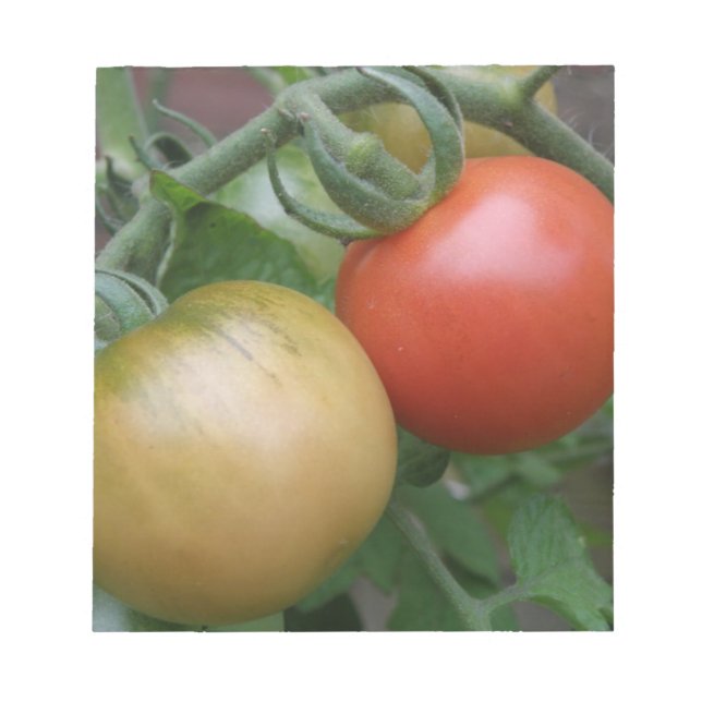 Bloc-notes tomates orange et rouge (Devant)