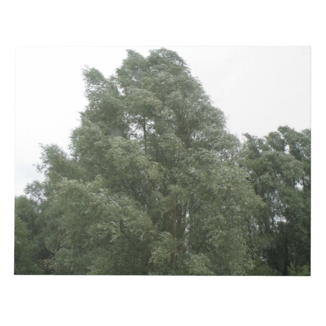 Bloc-notes Treetops (Devant)