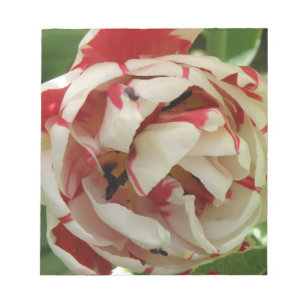 Bloc-notes Tulipe rose et blanc