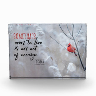 Bloc Photo Acte de courage