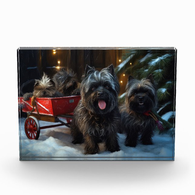 Bloc Photo Affenpinscher Snowy Sleigh Ride Décor de Noël (Devant)
