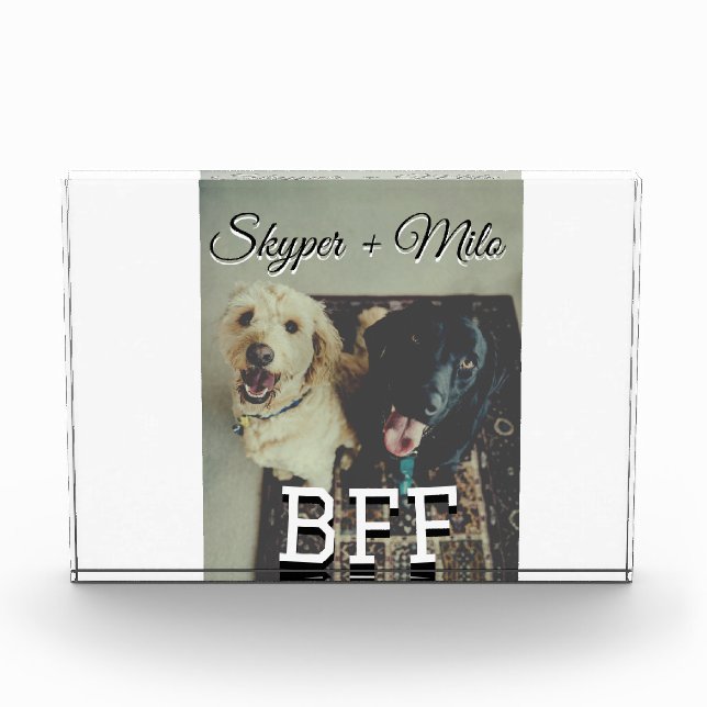Bloc Photo Animaux de compagnie amis besties ajouter nom anim (Devant)