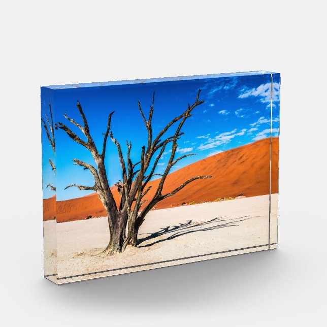 Bloc Photo Arbre mort à Deadvlei, Namibie (Gauche)