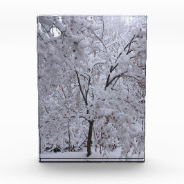 Bloc Photo Arbres à neige