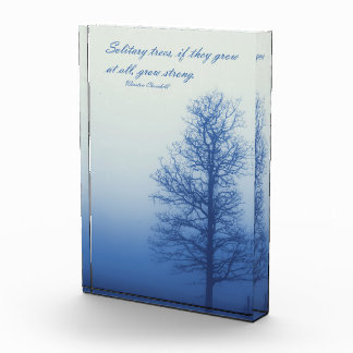 Bloc Photo Arbres solitaires poussent fort - Silhouette dans