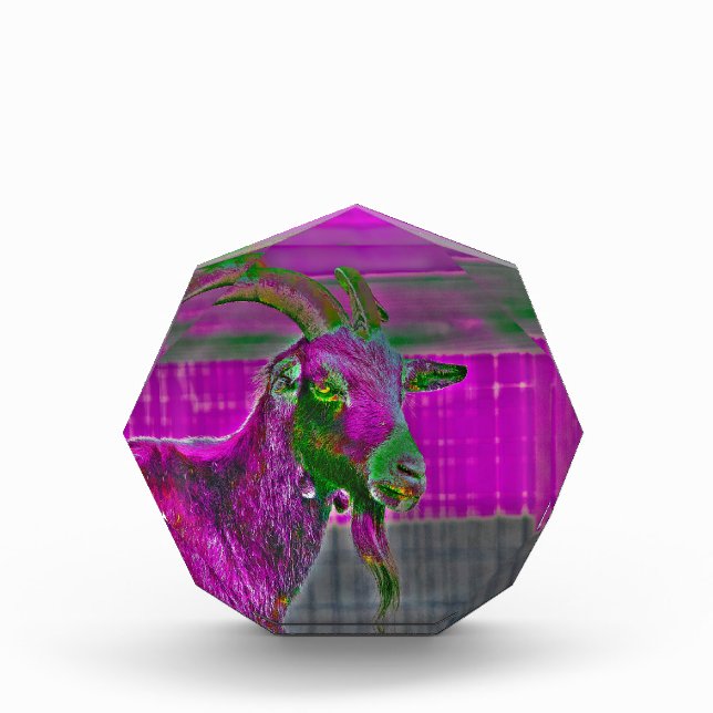 Bloc Photo Art de la chèvre (Devant)