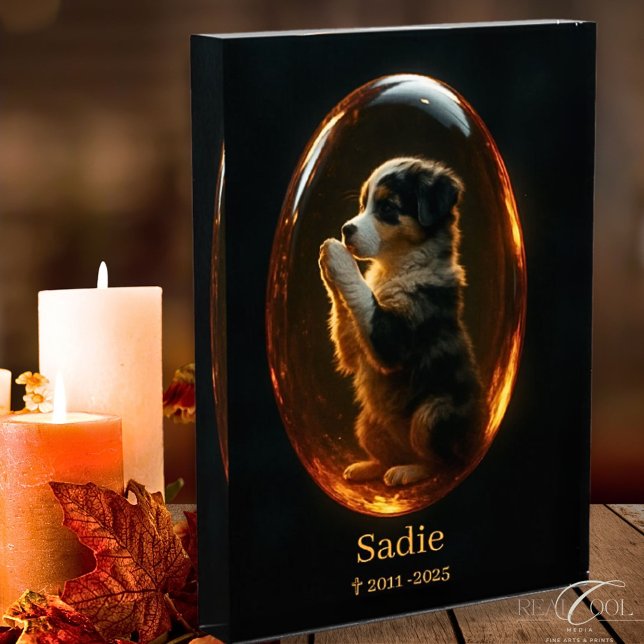 Bloc Photo Australian Shepherd Memorial  (Créateur téléchargé)