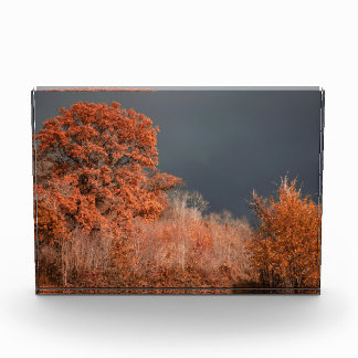 Bloc Photo Automne orageux