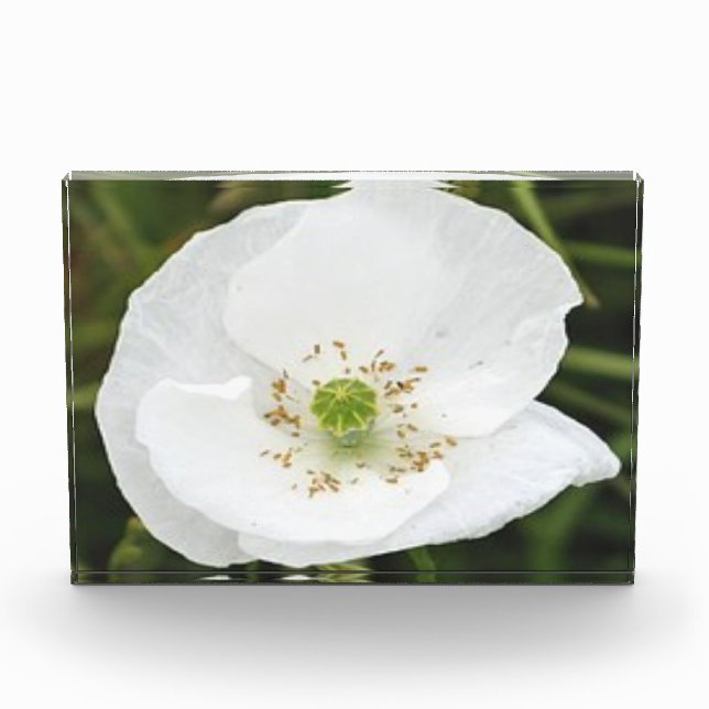 Bloc photo avec fleurs (Devant)