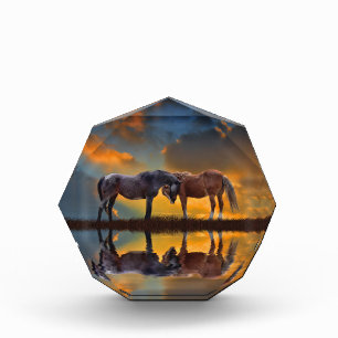 Bloc Photo Beau Chevaux sauvages et l'art aquatique